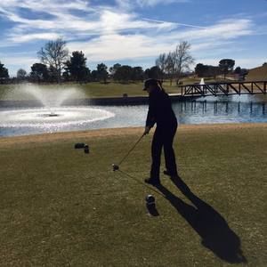 Meet your Posher, Sandy